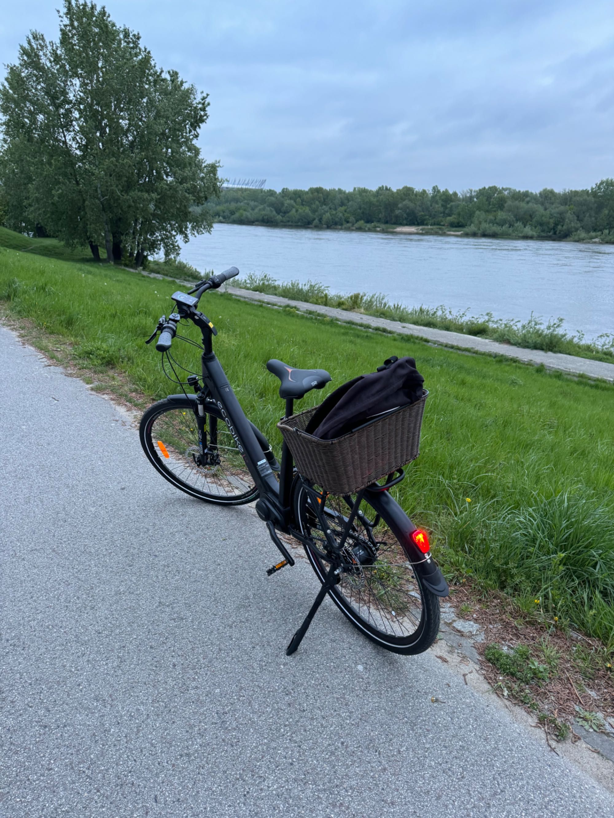 Rower elektryczny EcoBike LX 21”