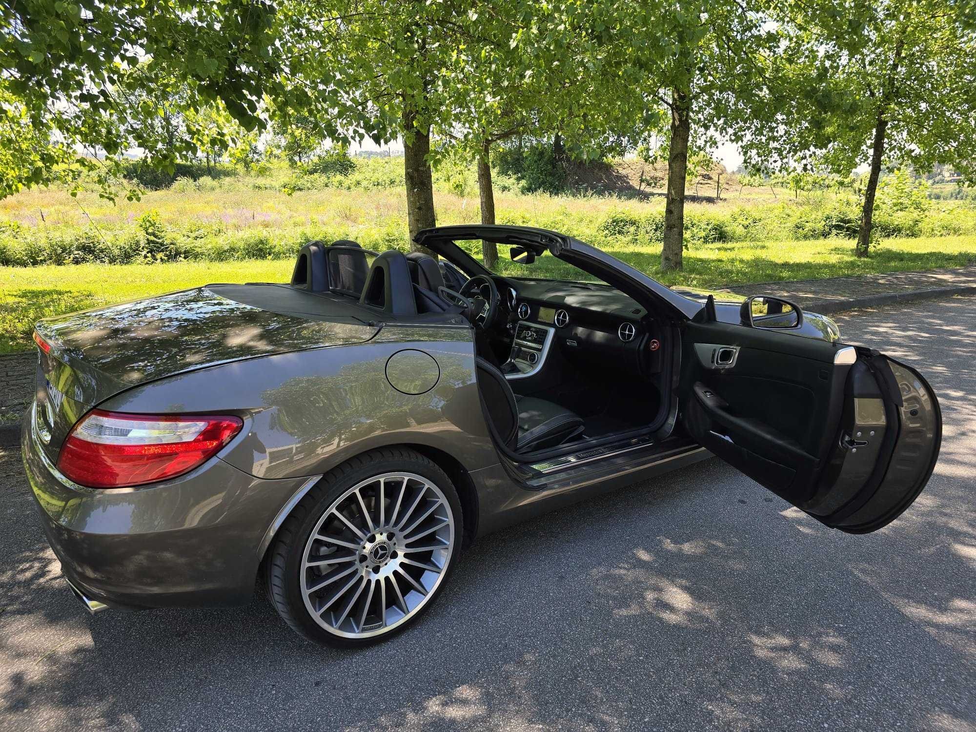 Mercedes-Benz SLK 250 CDI (BlueEFFICIENCY) 7G-TRONIC