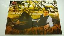 Poster de Leonardo DiCaprio (portes incluídos)