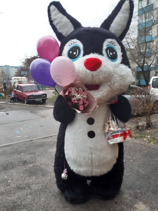 Мишка,панда,поздравление,ведмідь,вітання,білий,стриптизер,пес Патрон,