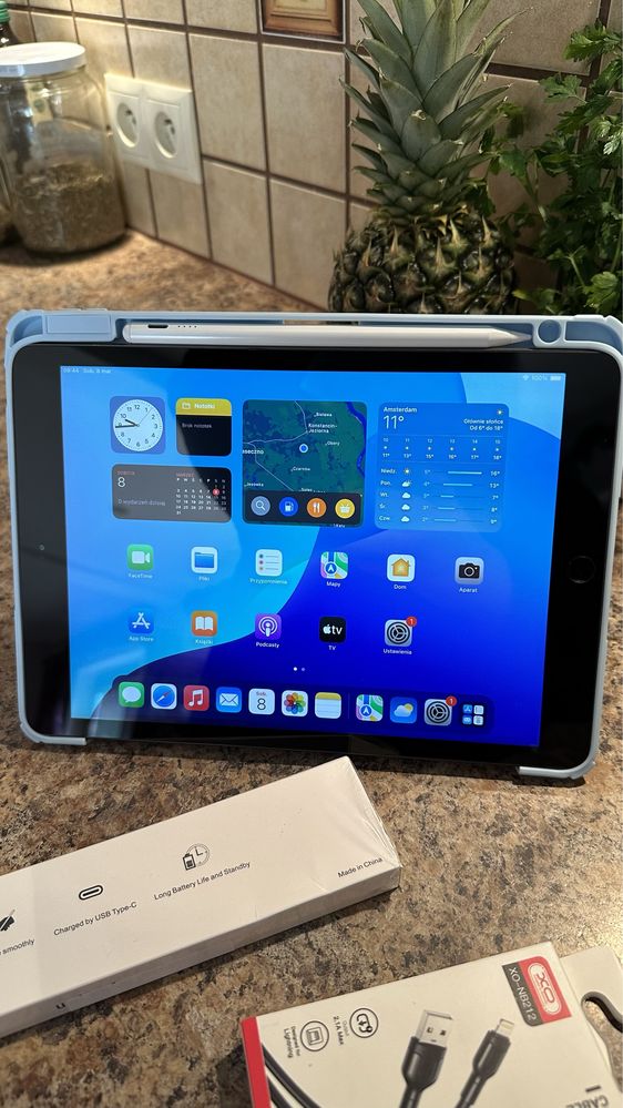 Tablet iPad Apple Retina 10.5” Touch ID - PROCREATE - iOS 18.5