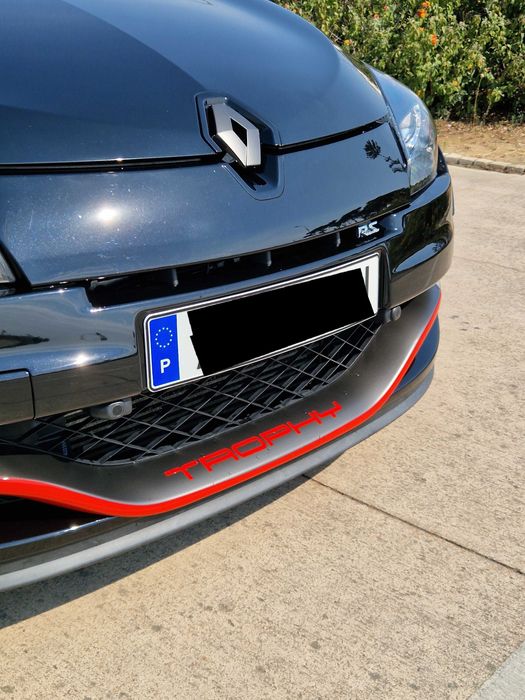 Renault Megane RS 265 Trophy #324