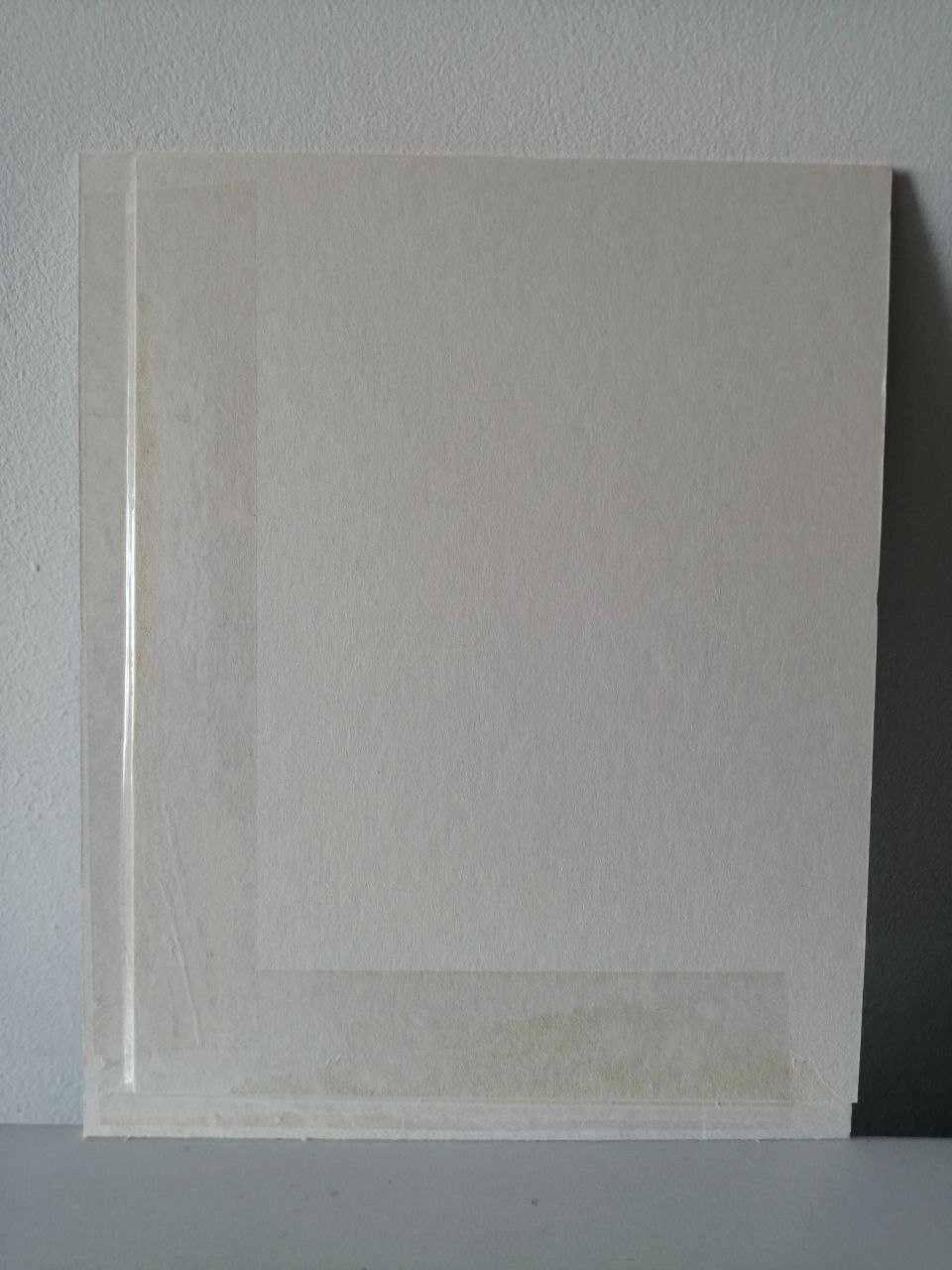 Grafika/Rysunek Foki, tusz, oprawa