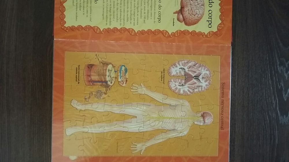 Livro puzzle corpo humano