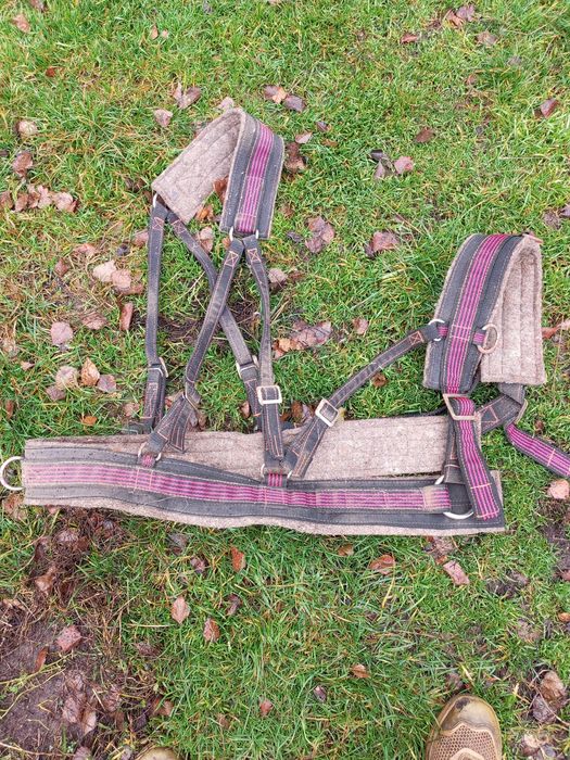 шлея на коня західного типу