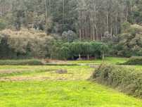 Arrendo Terreno para cultivo e lazer