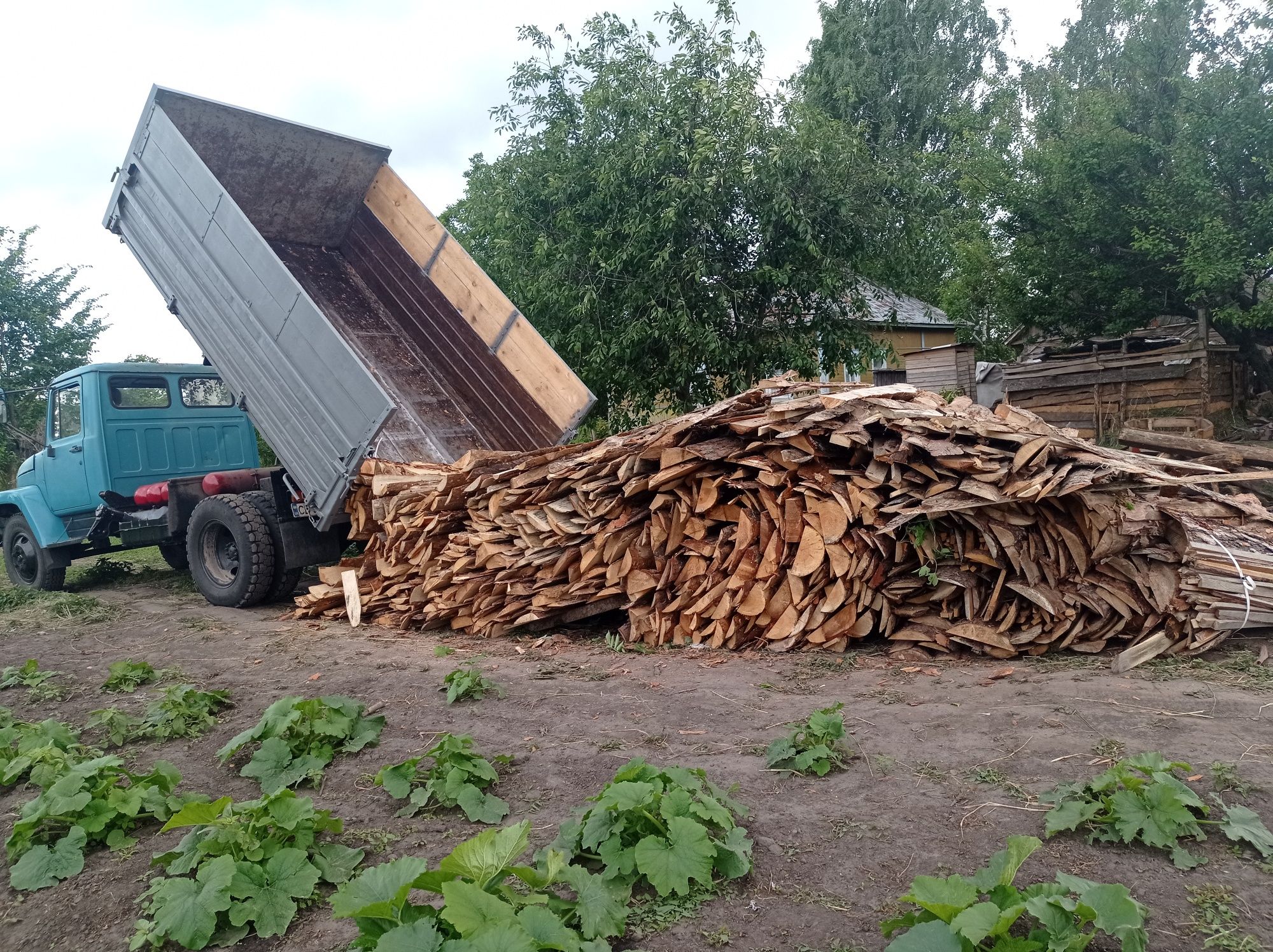 Дрова різних видів і породи