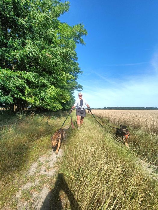 Indywidualna opieka dla psów | Domowy hotel dla psów | Petsitter