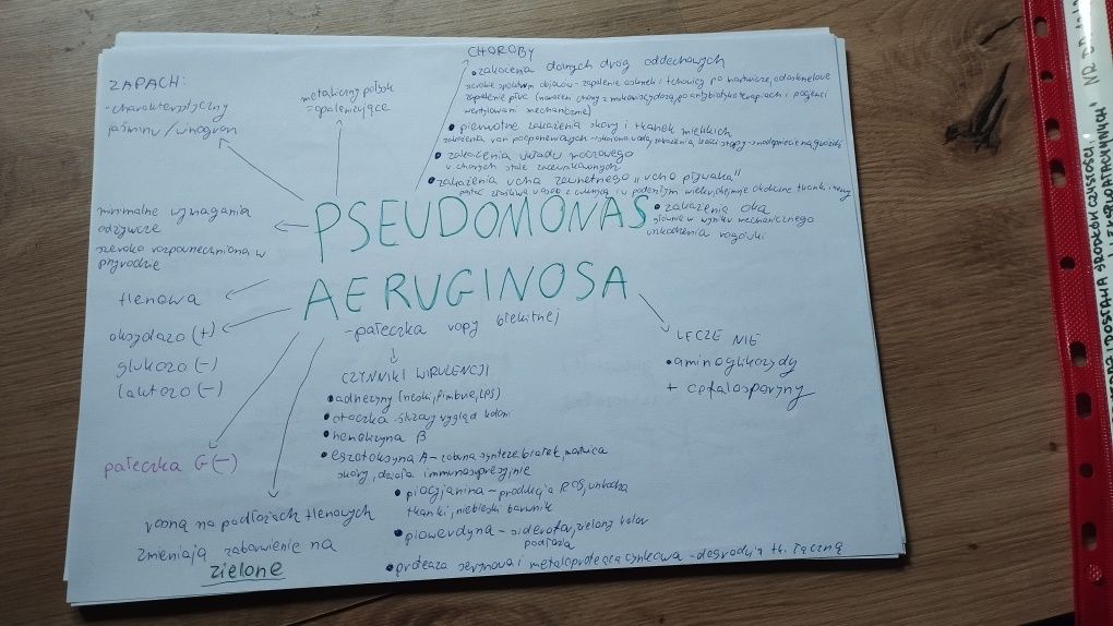 Notatki mikrobiologia