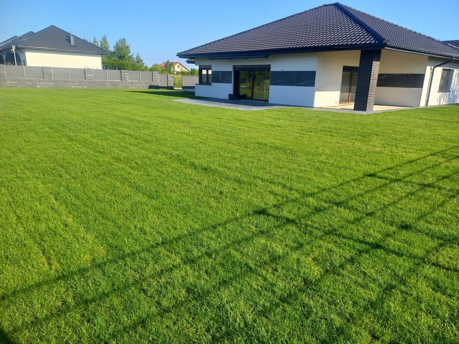 Trawa trawnik z Rolki sprzedaż transport montaż wysyłki