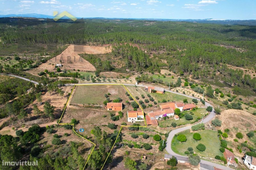 Quinta T3 Venda em Santo André das Tojeiras,Castelo Branco