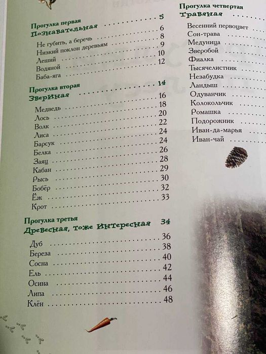 Прогулки по лесу Книга травник для детей