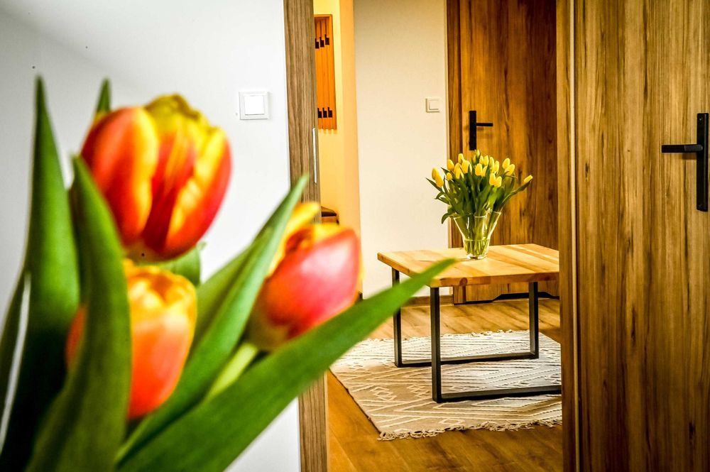 Luksusowe pokoje do wynajęcia, dom do 20 osób/Podhale-Zakopane