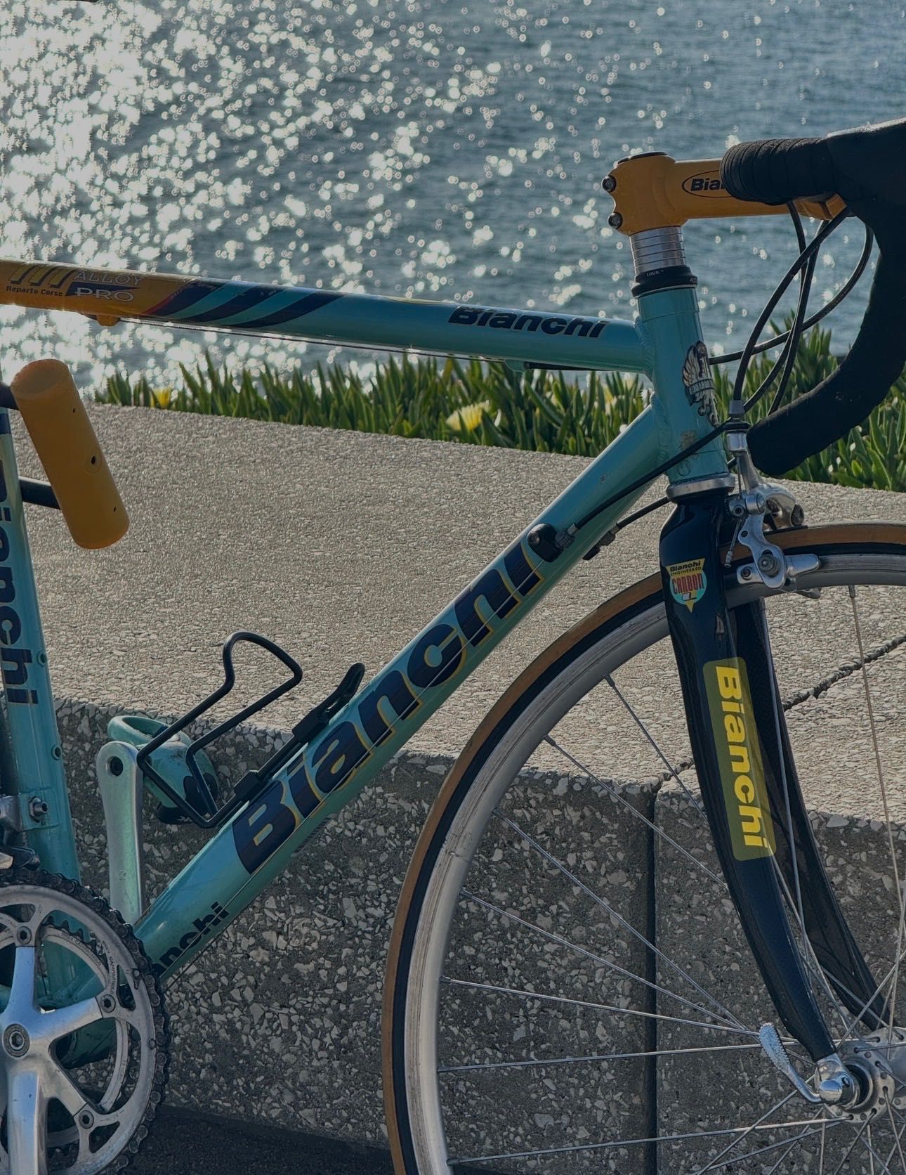 Bianchi Mega Pro Alloy – 1999 – Original