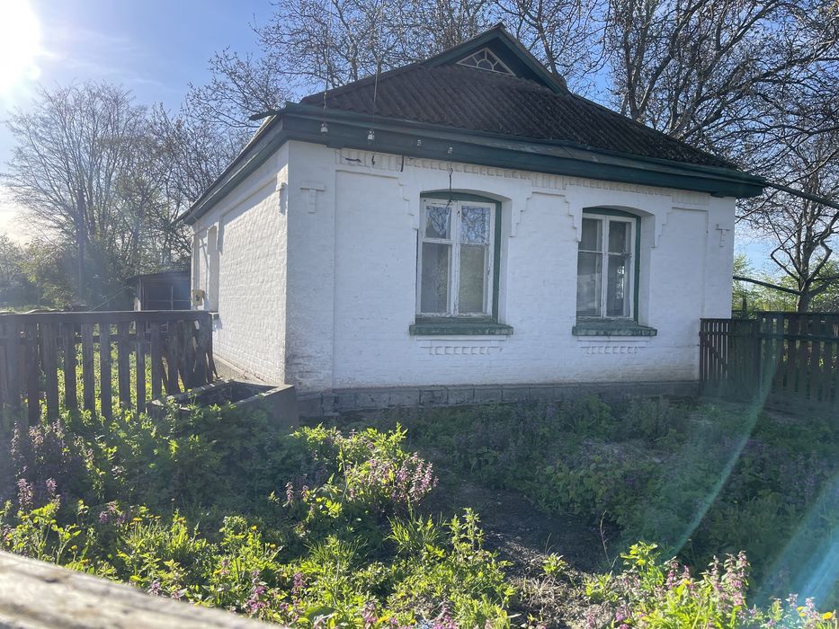 Продам будинок в с.Дзензелівка