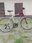 Rower Kross Raven