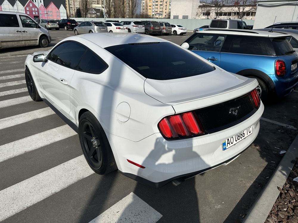 Ford Mustang / Turbo / 314 л.с.