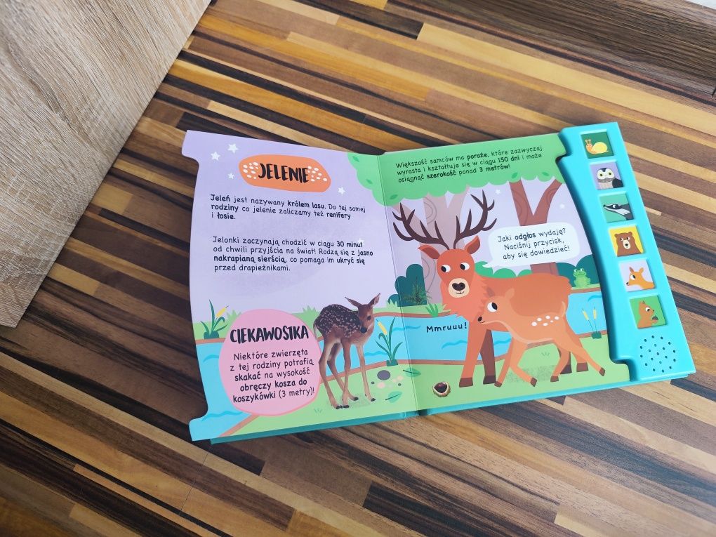 Świat wokół nas. W lesie książeczka dźwiękowa grająca interaktywna