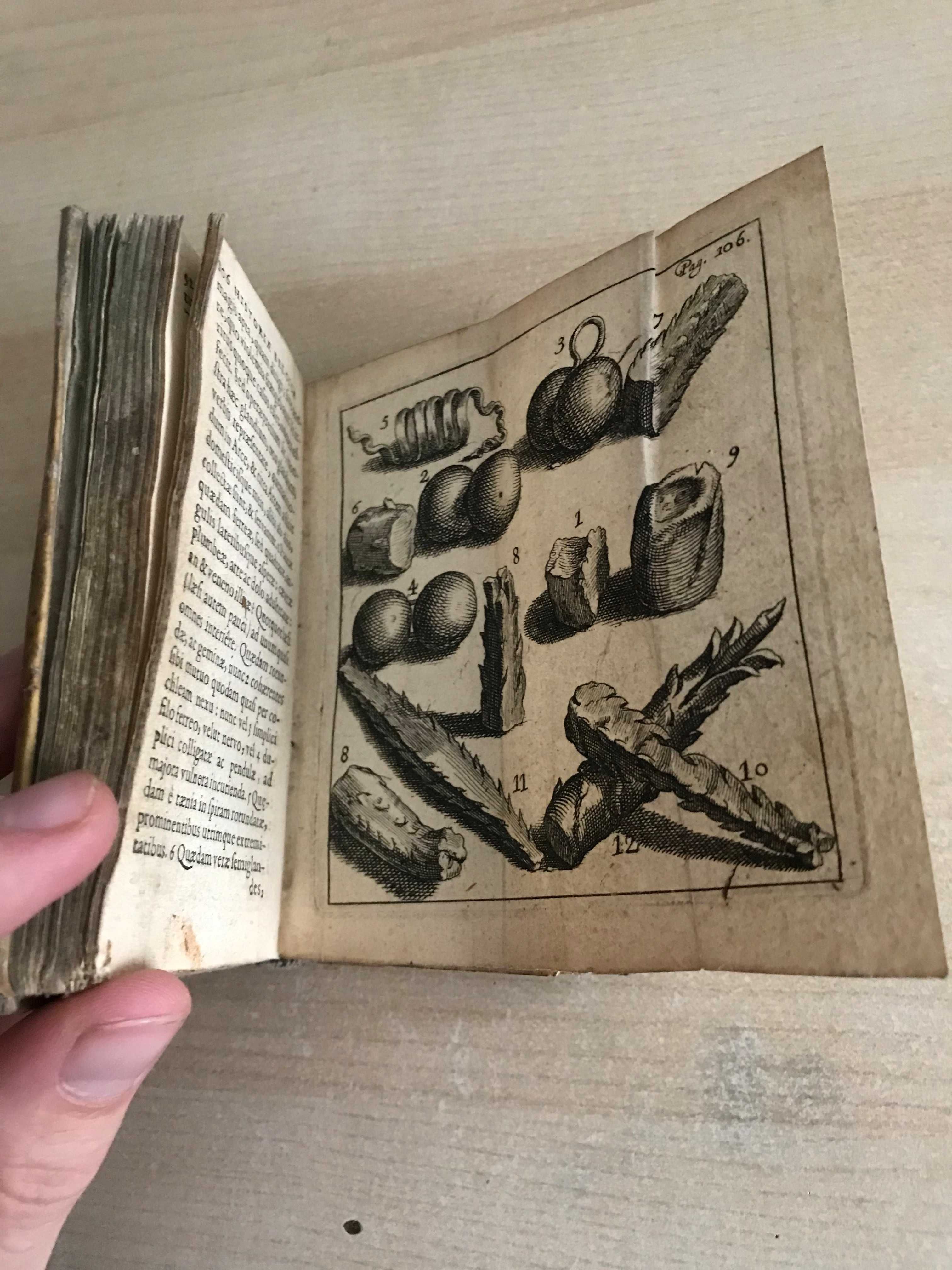 Historia Belgii z 1636 roku