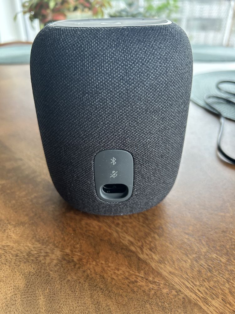 Głośnik JBL Link Music