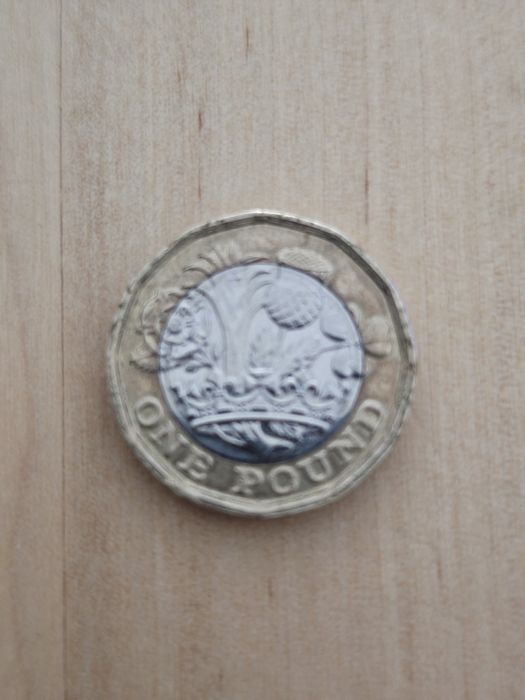 Moeda  One  Pound rainha  ELIZABETH II (2016)