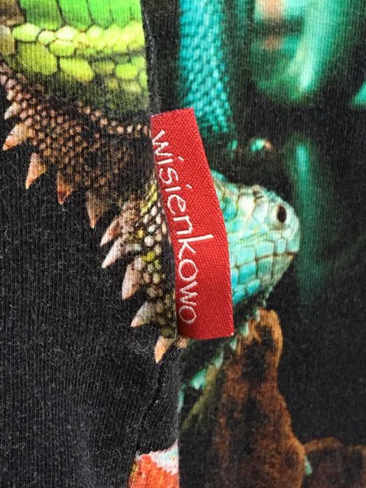 WISIENKOWO polska bluza kaptur salamandra jaszczurka 10-12L 146/152