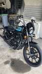 Harley Davison IRON 1200 XL