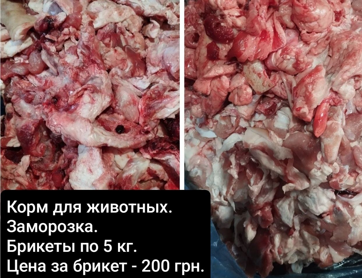 Обрезки свиные. Мясо. 75 грн за кг.