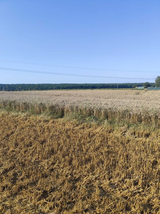 Zemborzyce Podleśne Działka