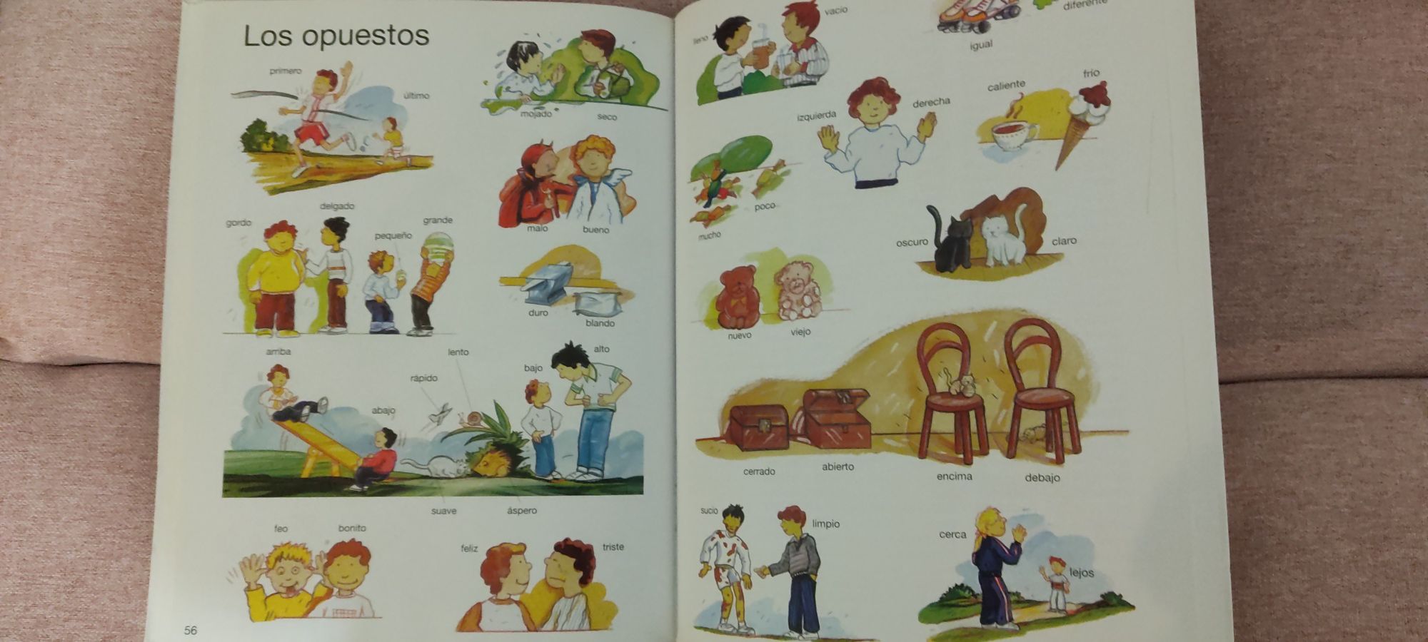 Dicionário Escolar por imagens Espanhol