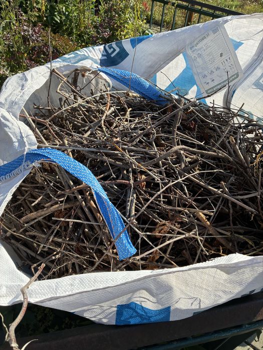 Oddam gałęzie, wielki wór gałęzi - za darmo
