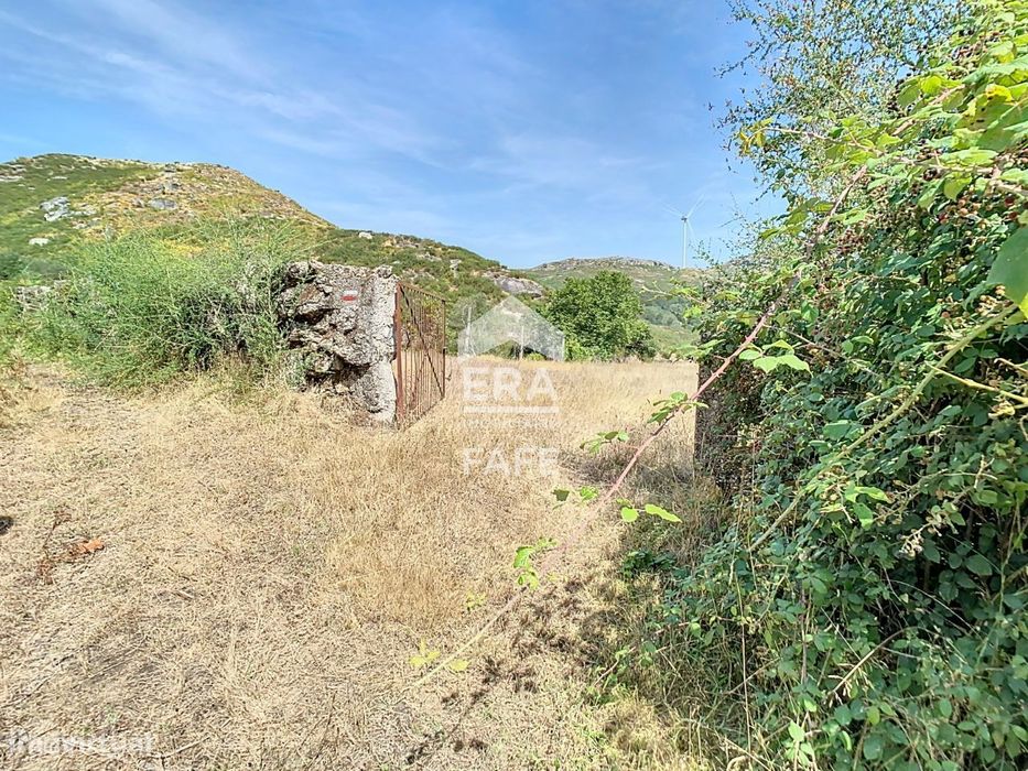Terreno em Várzea Cova - Fafe