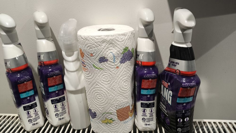 Usługi sprzątające, sprzątanie mieszkań