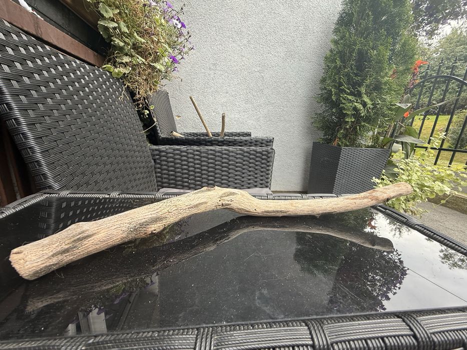 Witam sprzedam korzenie każdy inna cena