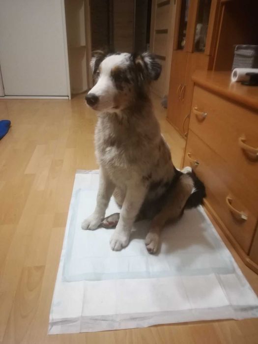 Zestaw mebli pokojowych, meblościanka