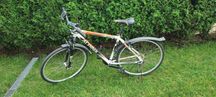 Rower Alpina Eco c10