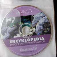 ENCYKLOPEDIA drzew i krzewów liściastych | na PC