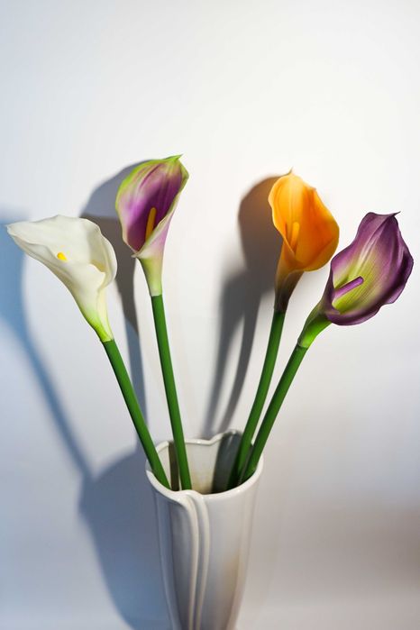 Kalia w kolorze żółto – pomarańczowym