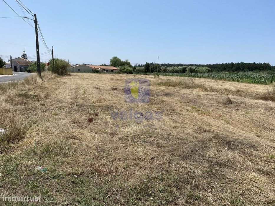 Terreno Serra do Bouro