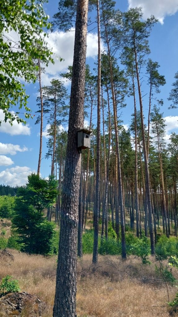 Domek całoroczny na Kaszubach nad jeziorem, k. Wdzydze,wolne terminy!
