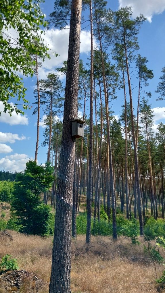 Domek całoroczny na Kaszubach nad jeziorem, k. Wdzydze, las, wakacje