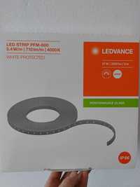 Taśma LED Ledvance LS PFM-600/840/5/IP66 FS1