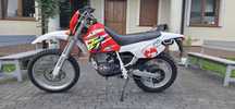 Yamaha TT 600 Belgarda nie TTR 600