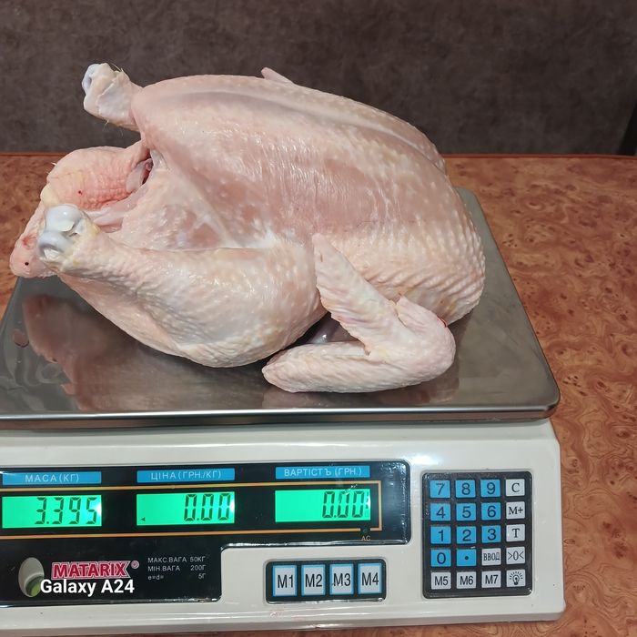 Тушки  бройлера домашні кури