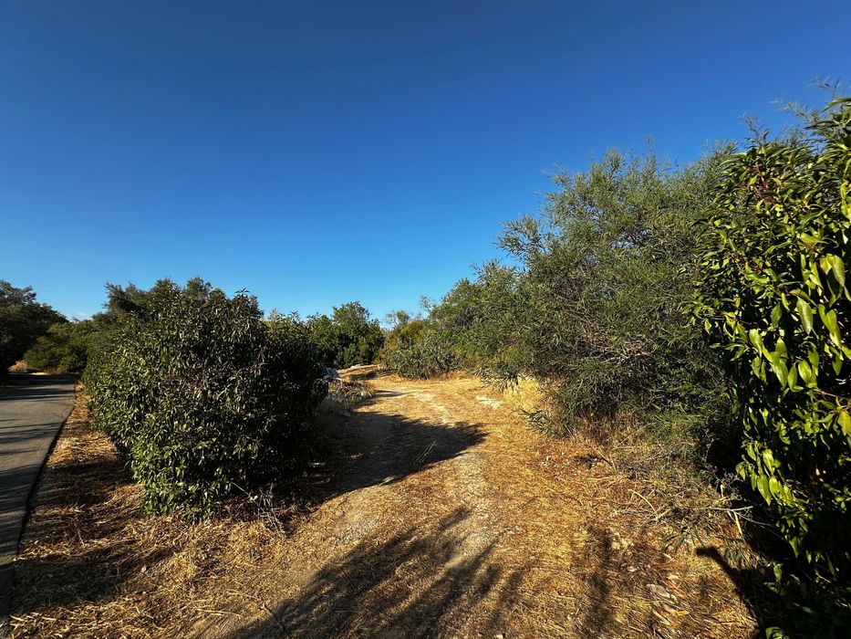 Terreno Rustico em Boliqueime, Ribeiro