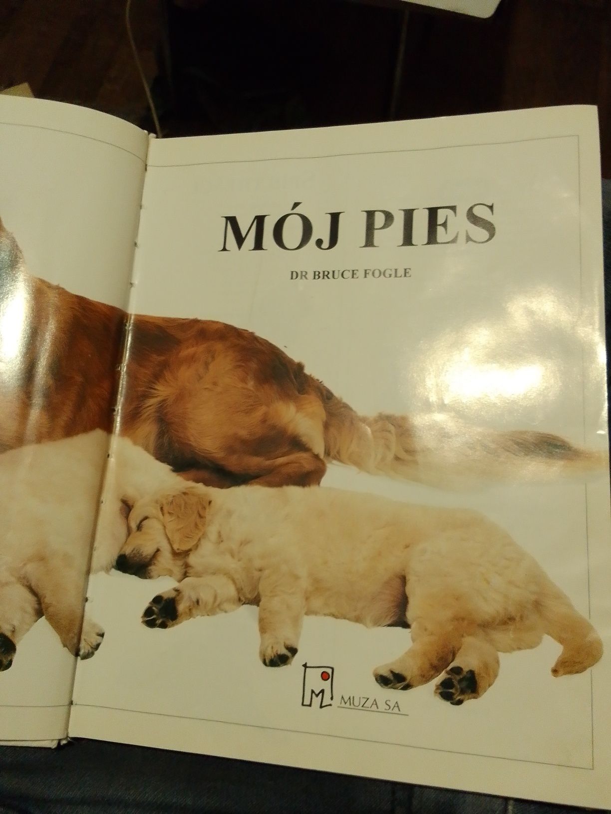 Mój pies książka