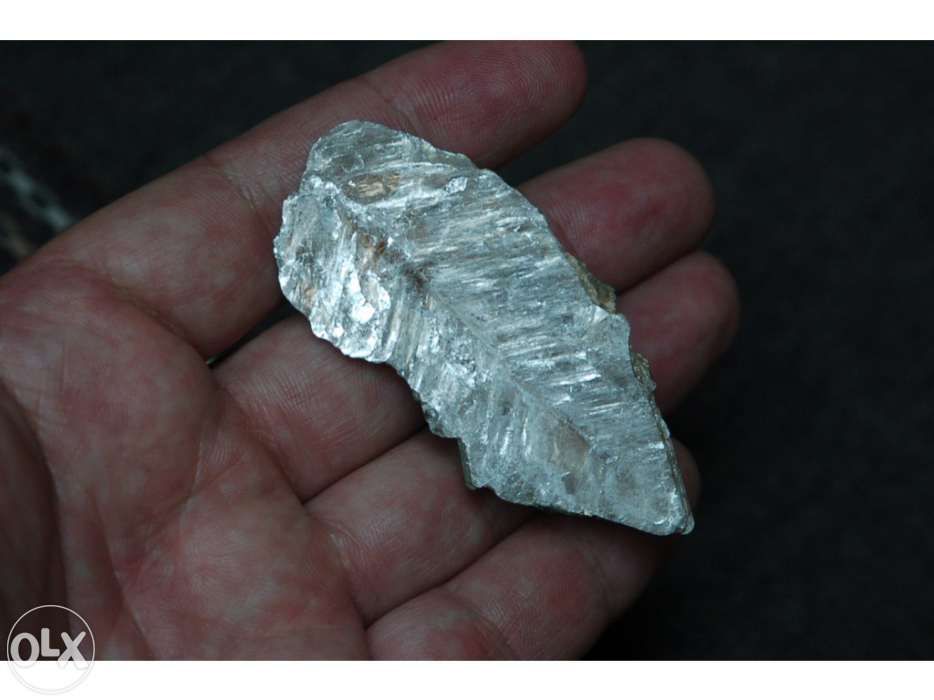 Pedra com algo parecido com um fossil de uma folha