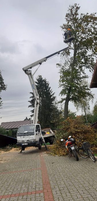 Wycinka drzew, podnośnik koszowy, rębak do gałęzi, frezowanie pni