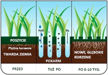 Aeracja rurkowa , wertykulacja ,piaskowanie trawnika uslugi ogrodnicze