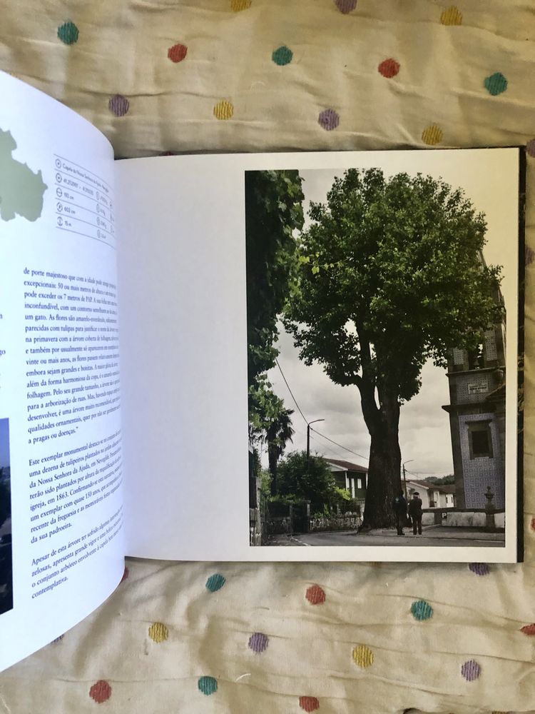 Gigantes Verdes - livro capa dura